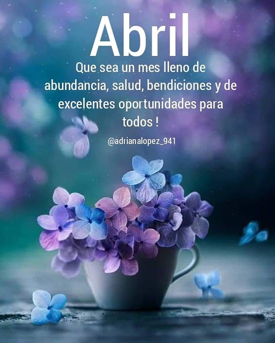 El sr Pato tweet media