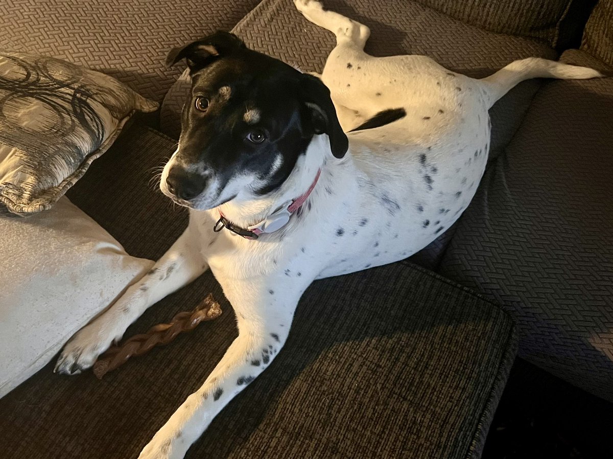 Sgt. Tater Ret. tweet media