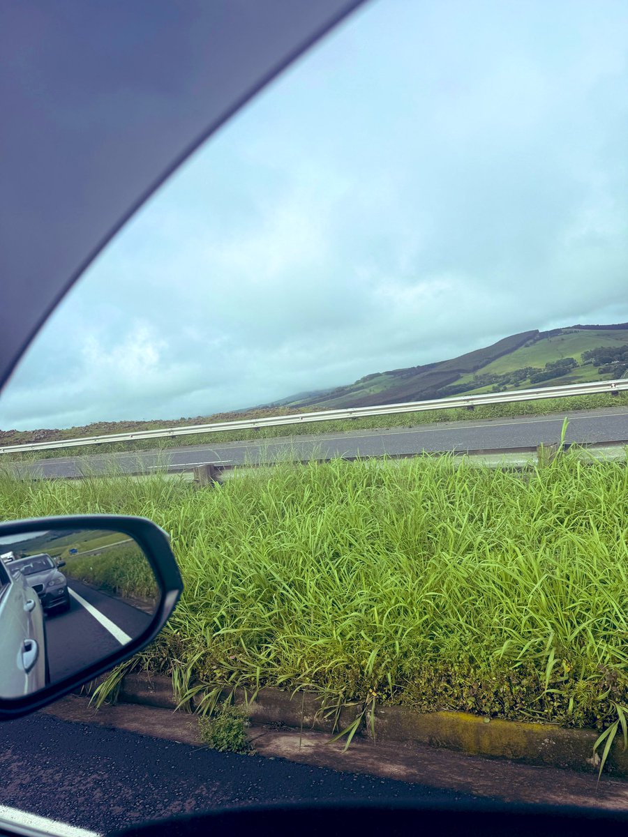 Raesetja tweet media