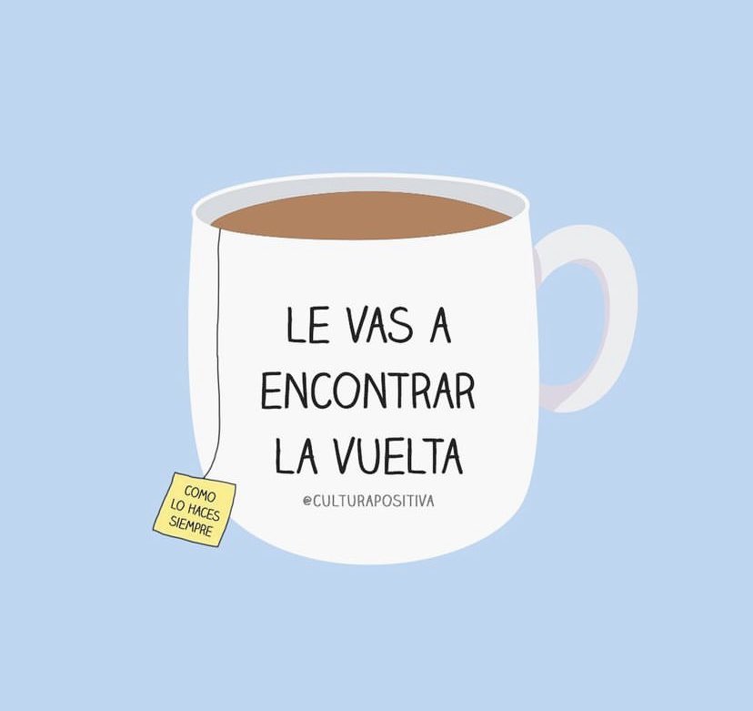 Rabbit HD tweet media