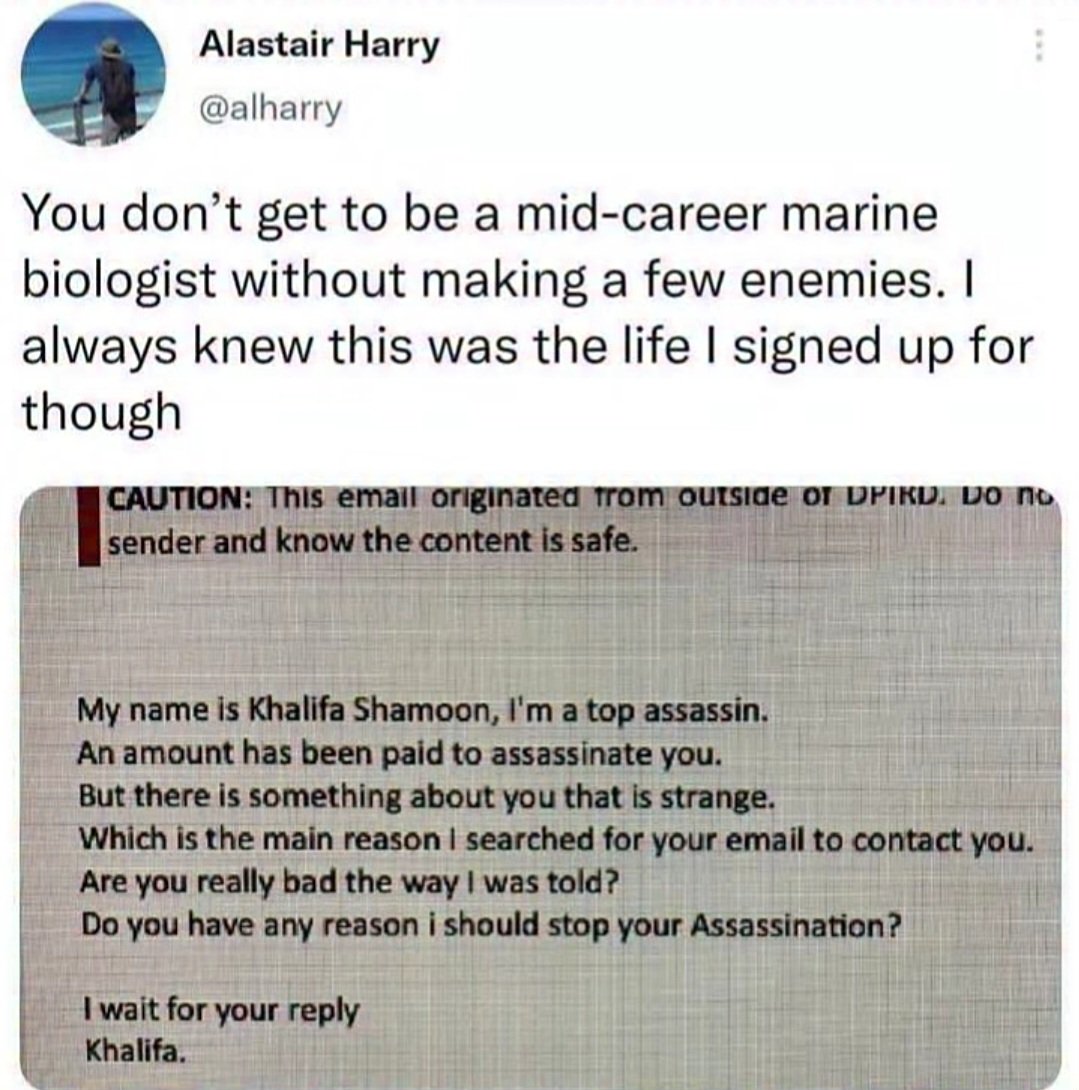 Barnacle Boy tweet media