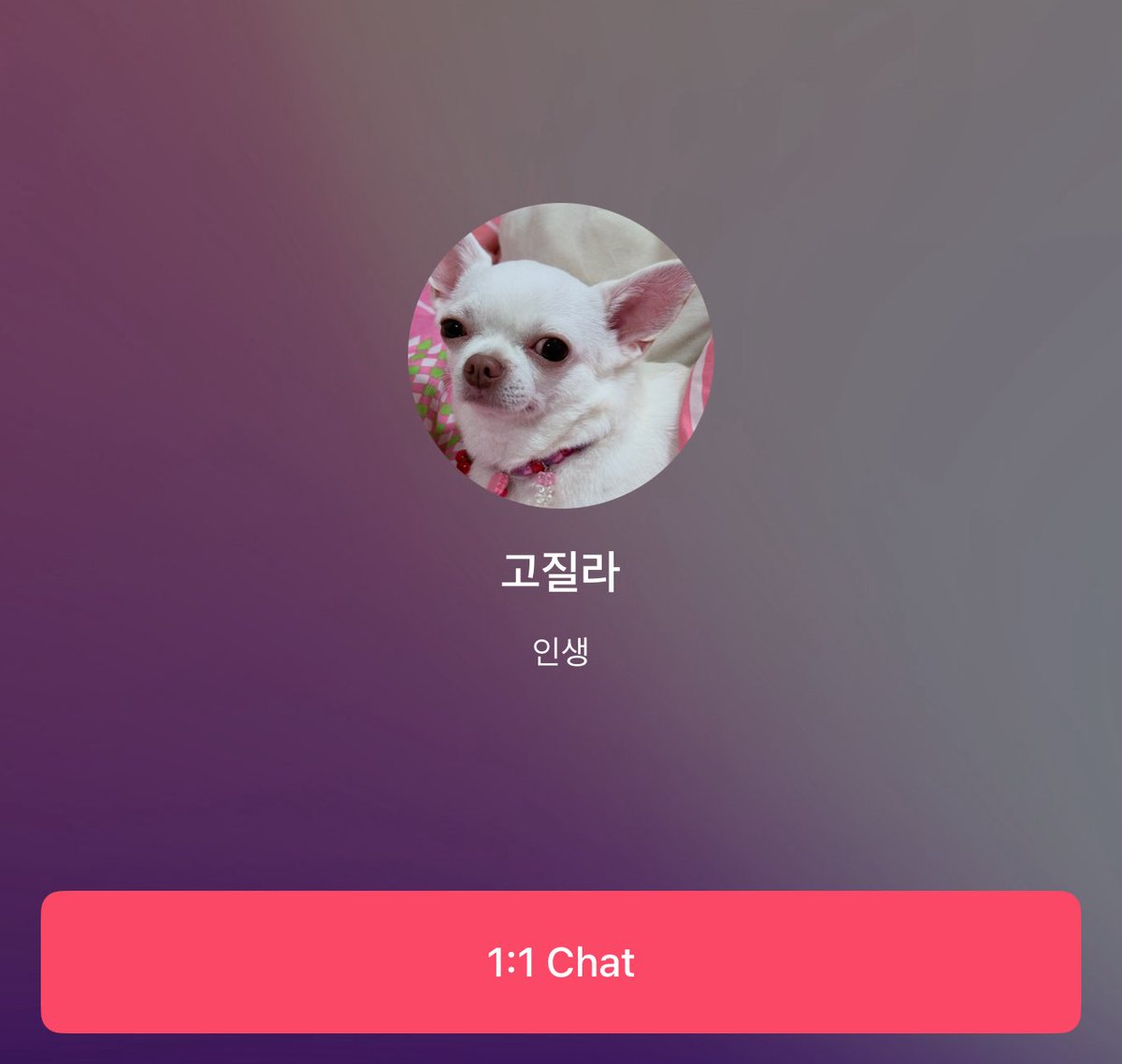 minjae source ⌂ tweet media