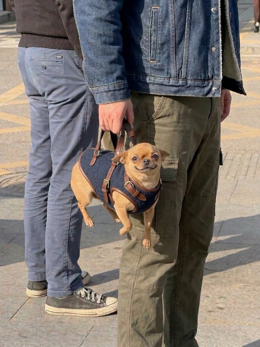 Puedo andar pero me llevan en silla de ruedas por ir más rápido, me siento así: