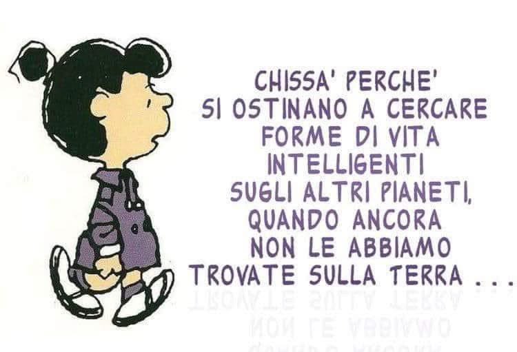 Mrs B ✨ tweet media