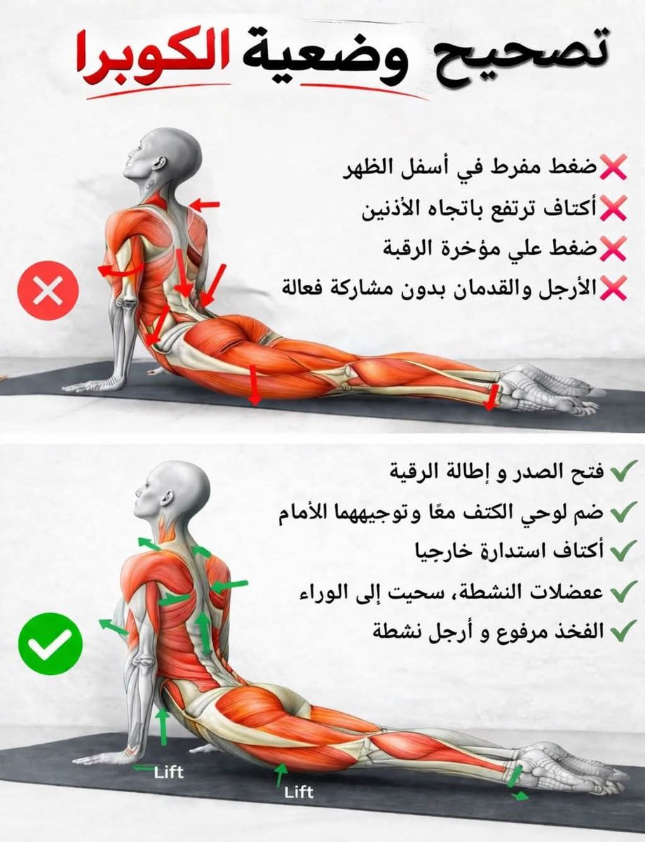 نشاط رياضي tweet media