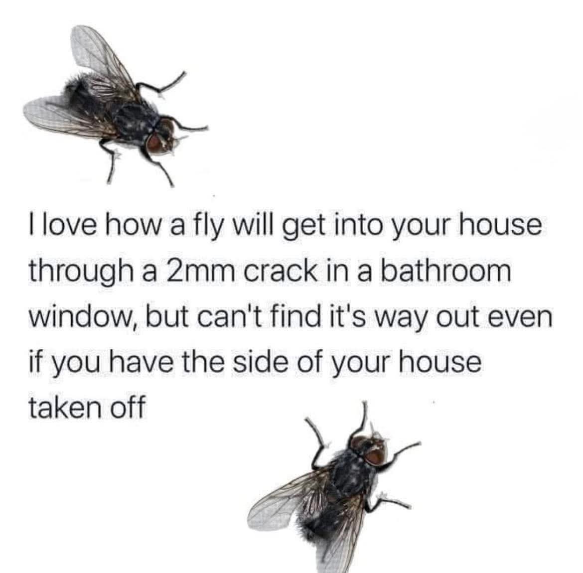 🦄Angelina Jean🦄 tweet media