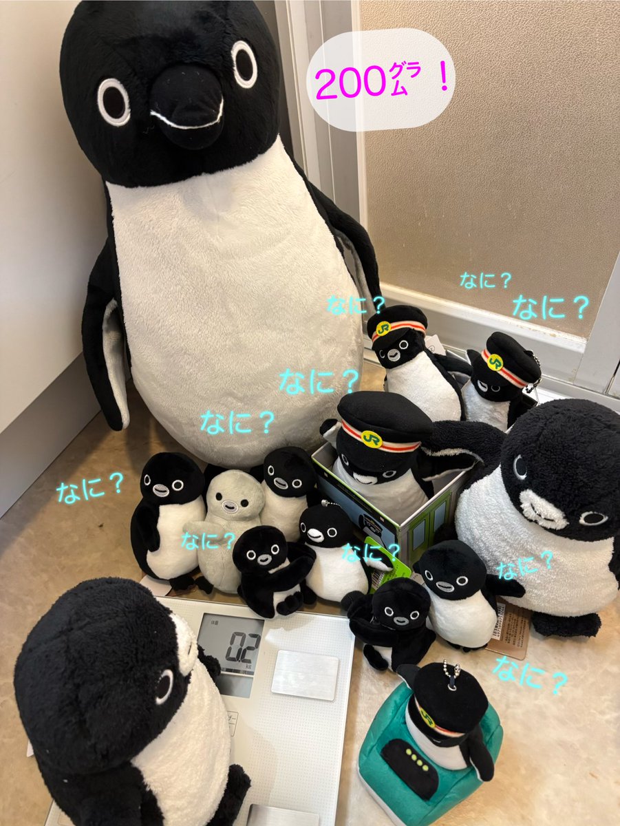 ぱーる tweet media