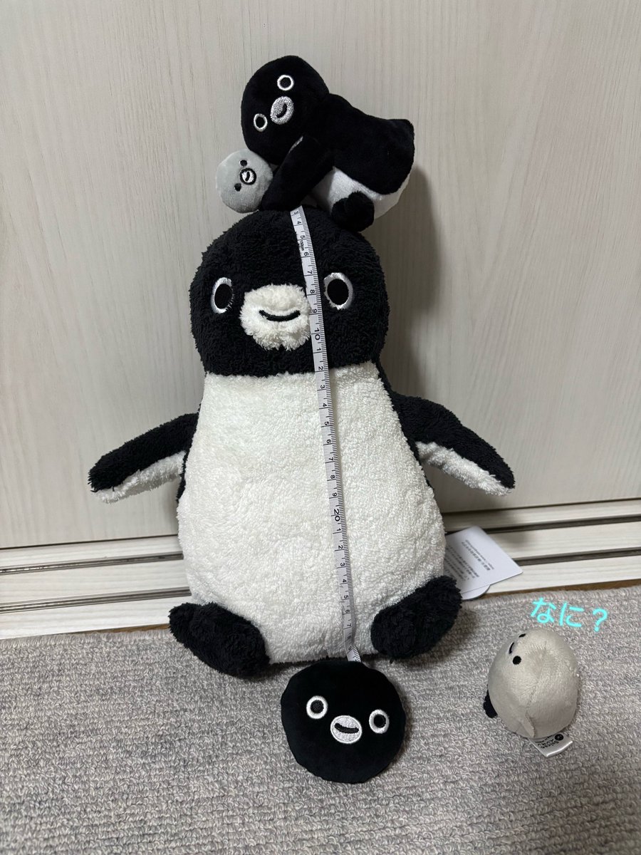 ぱーる tweet media