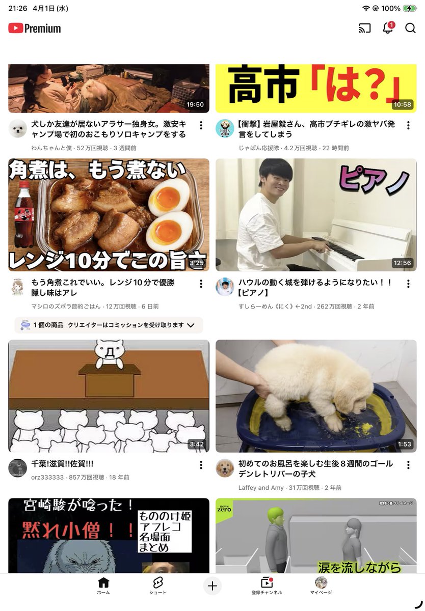 ࿐༉༊ちぜ࿇༊࿐྿ tweet media