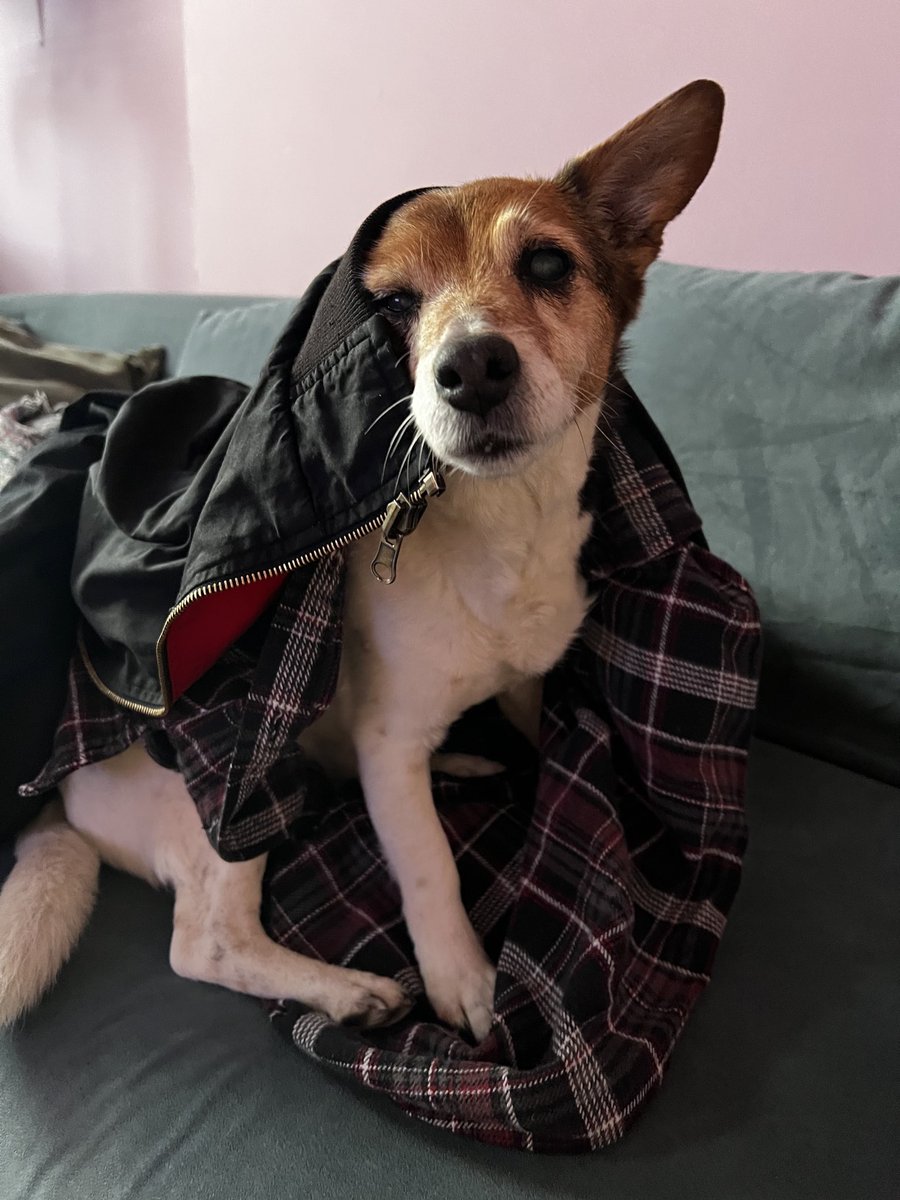 coochie mane 🧪 tweet media