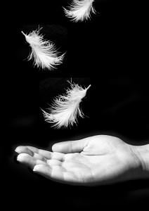 Veronica Pullen tweet media