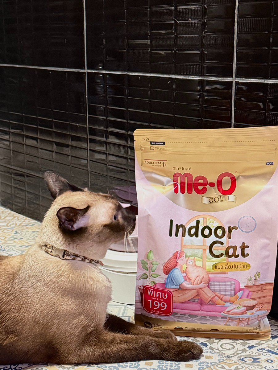 Pare Vespa tweet media