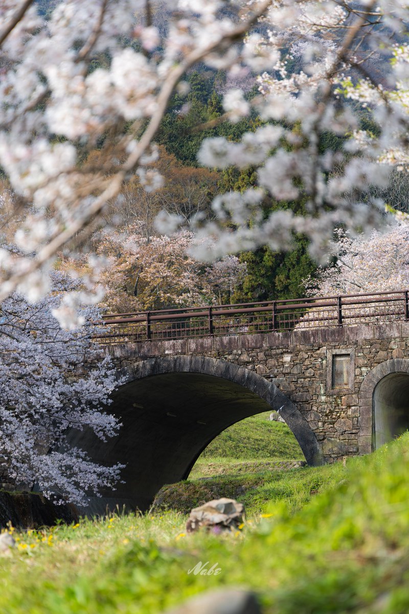 なべちゃん tweet media