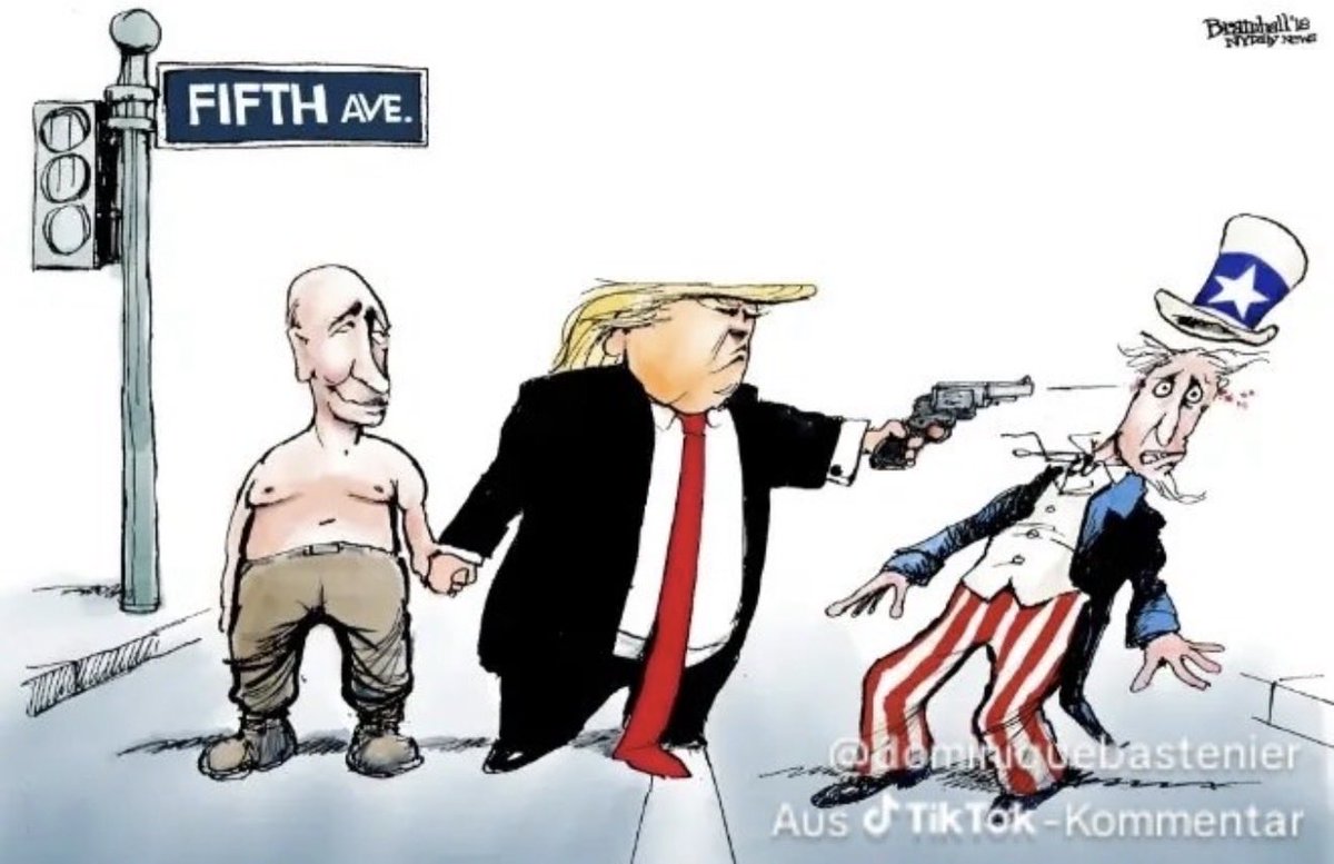 ToadWorld100 tweet media