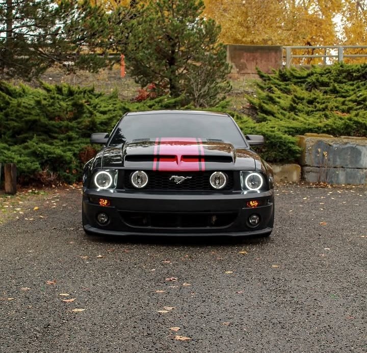 FORD PASION!!🏁 tweet media