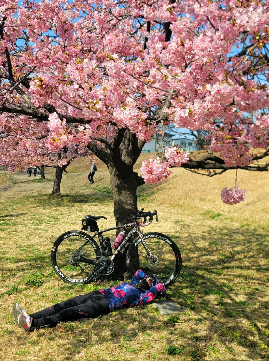 Kaburiore tweet media