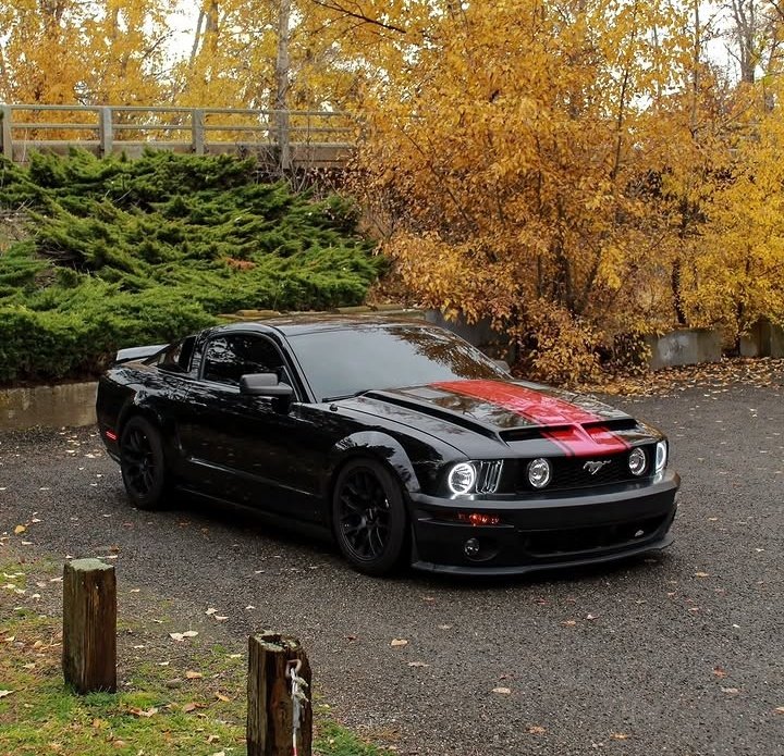 FORD PASION!!🏁 tweet media