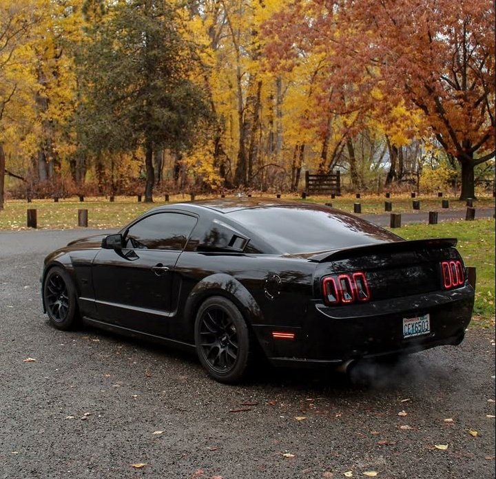 FORD PASION!!🏁 tweet media