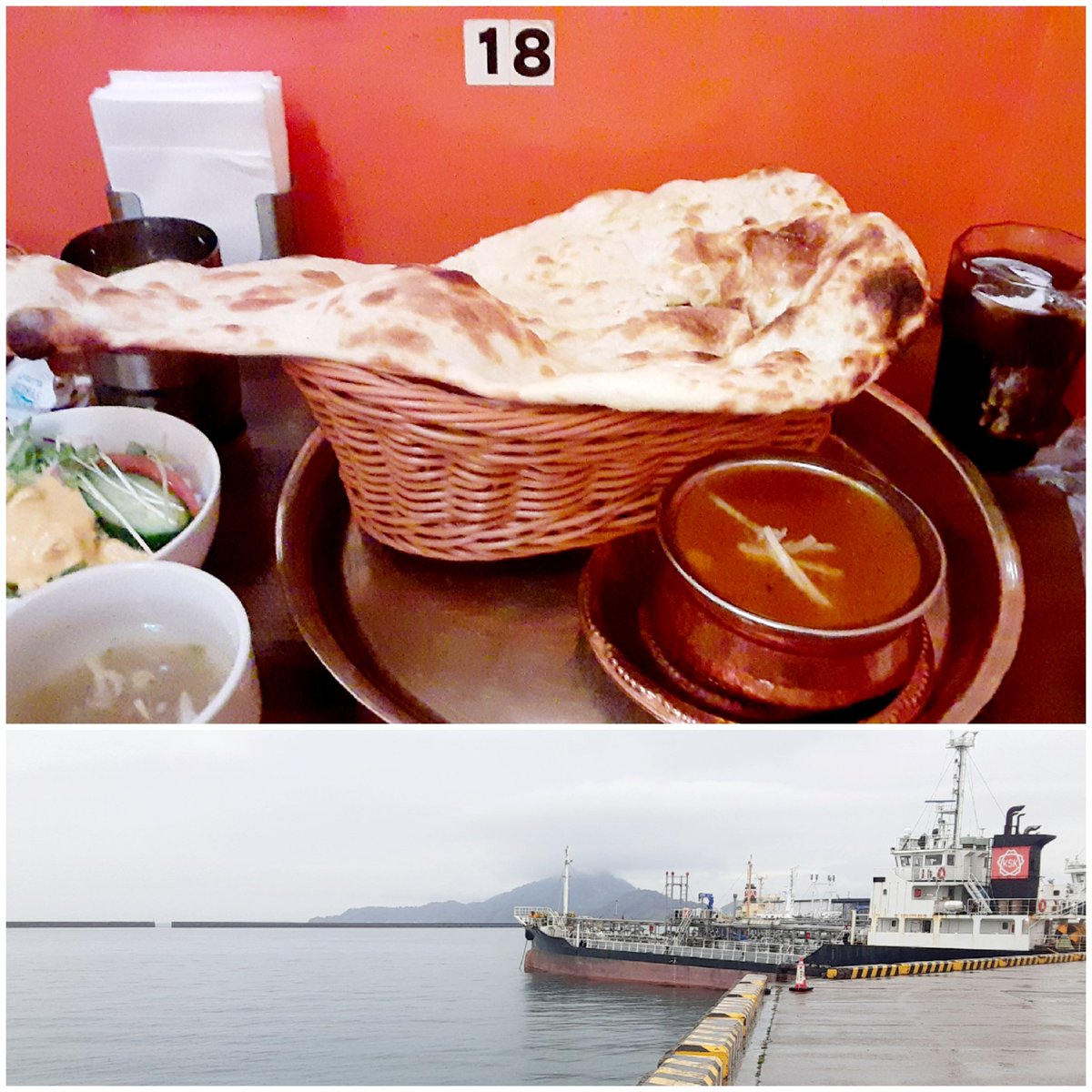 にゃんこ先生 tweet media