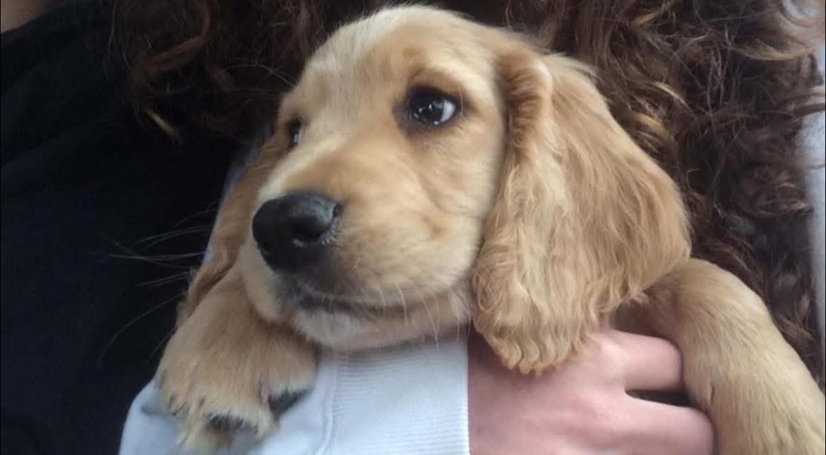 Bobbi Huyton tweet media