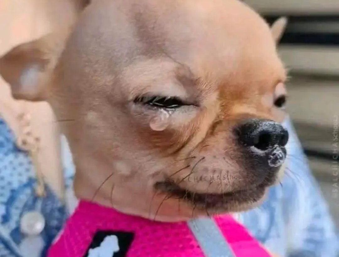 Laara Kroft tweet media