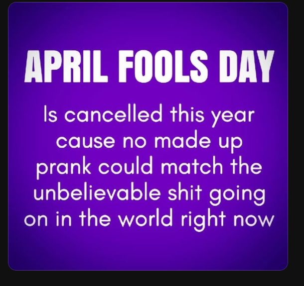 Liz Barnaby tweet media