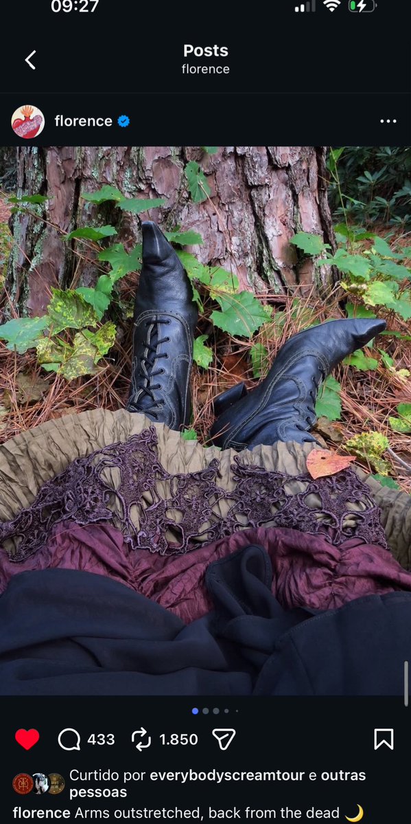 𝒓𝒂𝒒𝒖𝒆𝒍🪉 tweet media