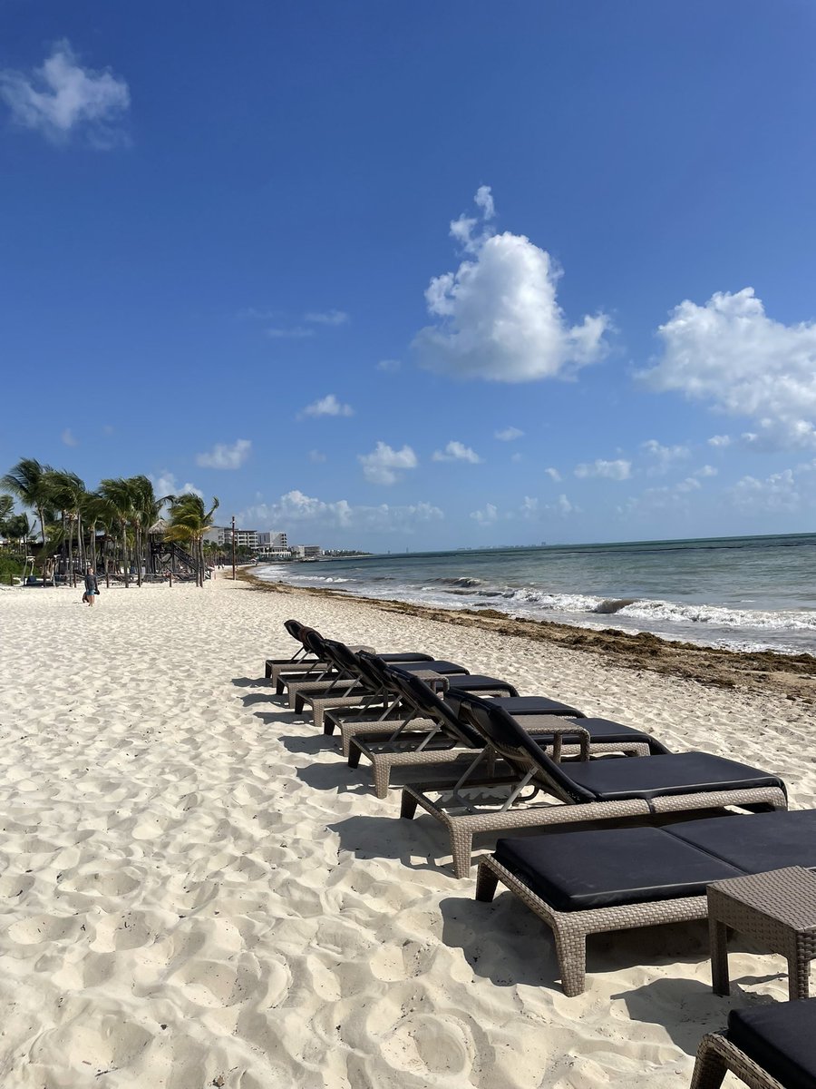 🇨🇦SandyM tweet media