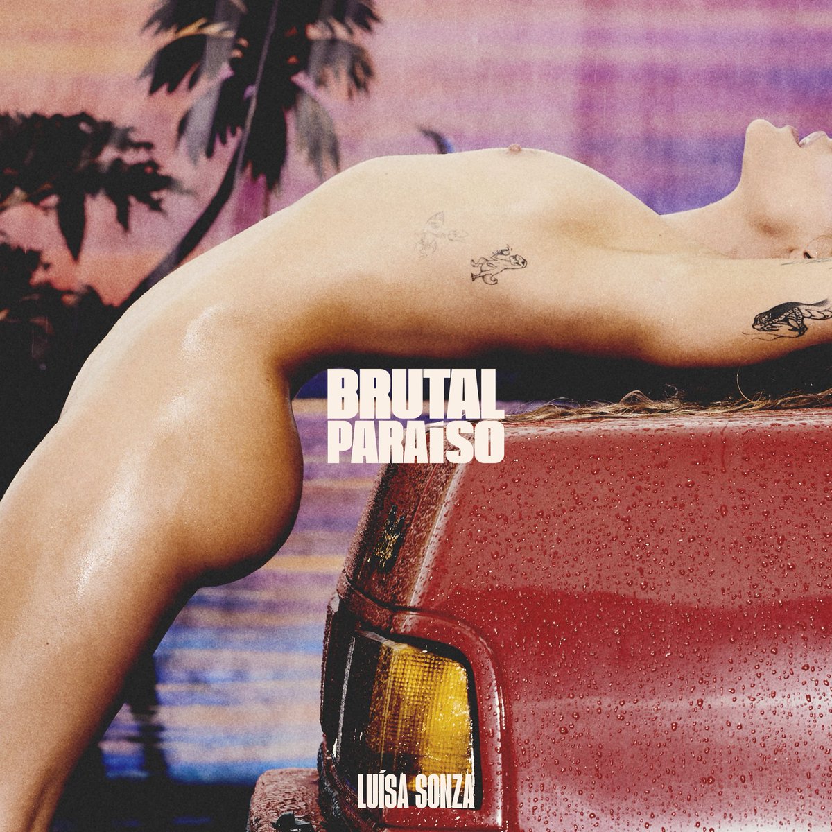 Acesso Sonzers tweet media