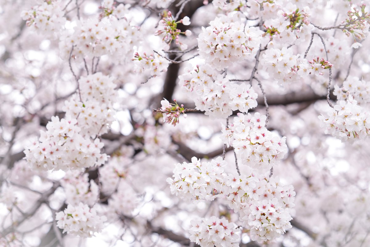 福永一博 tweet media