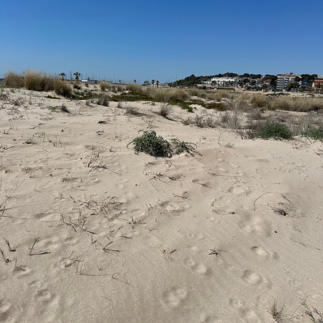 Aj. de Torredembarra tweet media