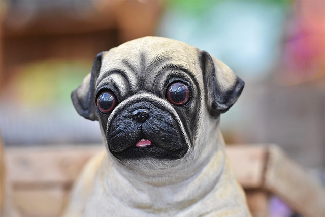 Jim Samal tweet media