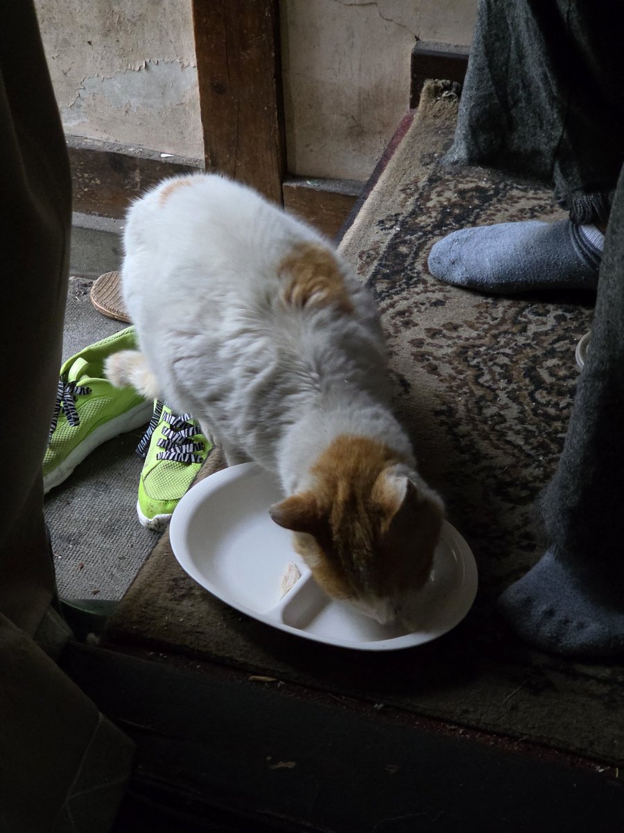 はっち tweet media