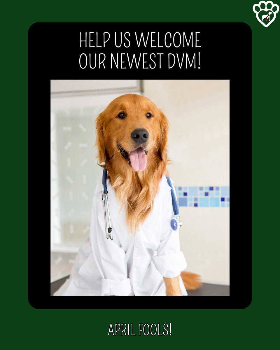 Animal Hosp. Sussex tweet media