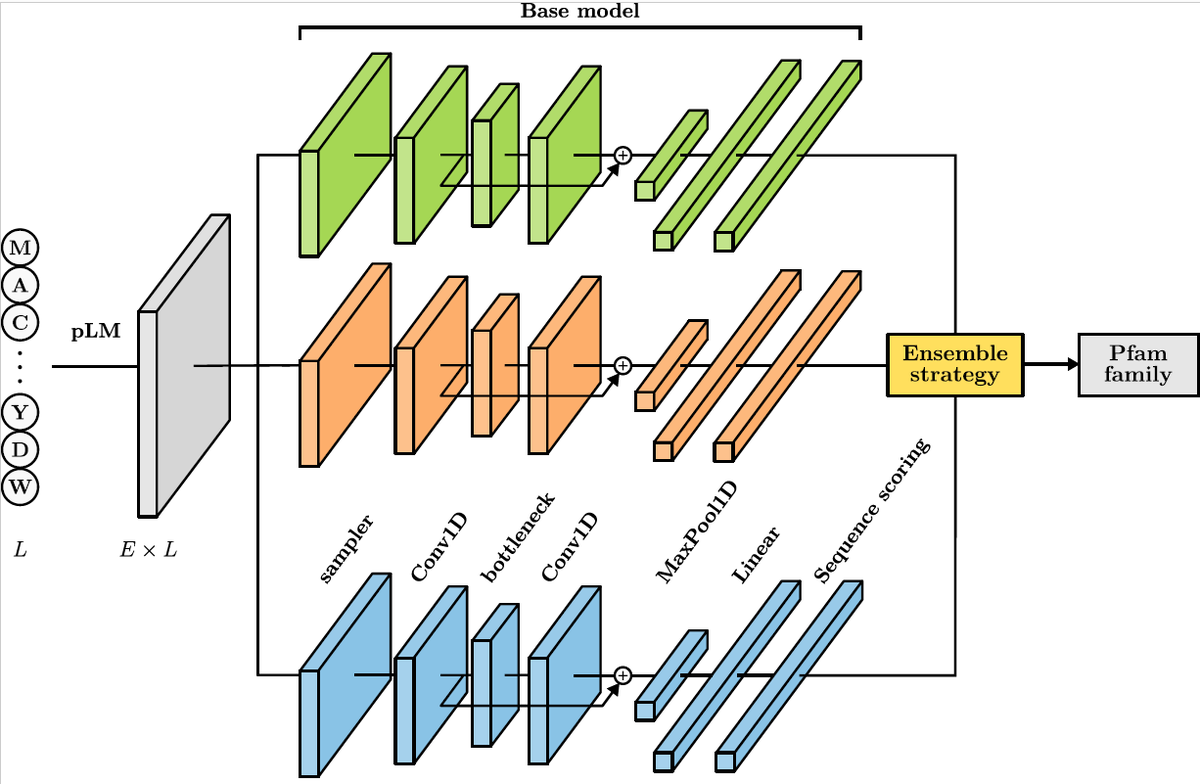 sinc_i's tweet photo. 🕵🧬🖥 How to computationally discover protein functions?
Just released 🔥 Our latest annotation model for domains in Pfam! 📣 ET-Pfam: an ensemble of deep models with transfer learning, now published in Bioinformatics @OxfordJournals https://t.co/KCZEOVKfdc