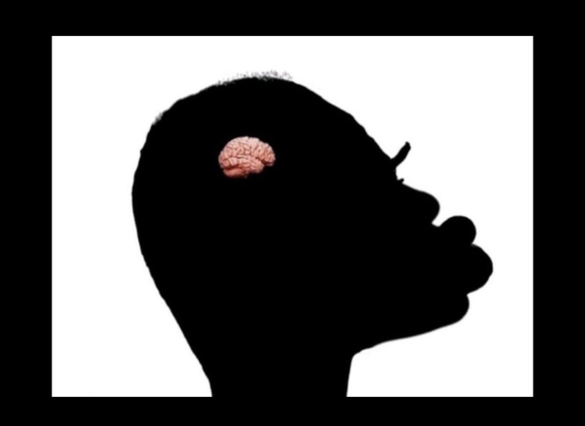 BOMBS AWAYY tweet media