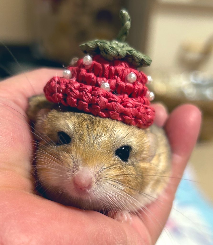 ღチロルღ tweet media