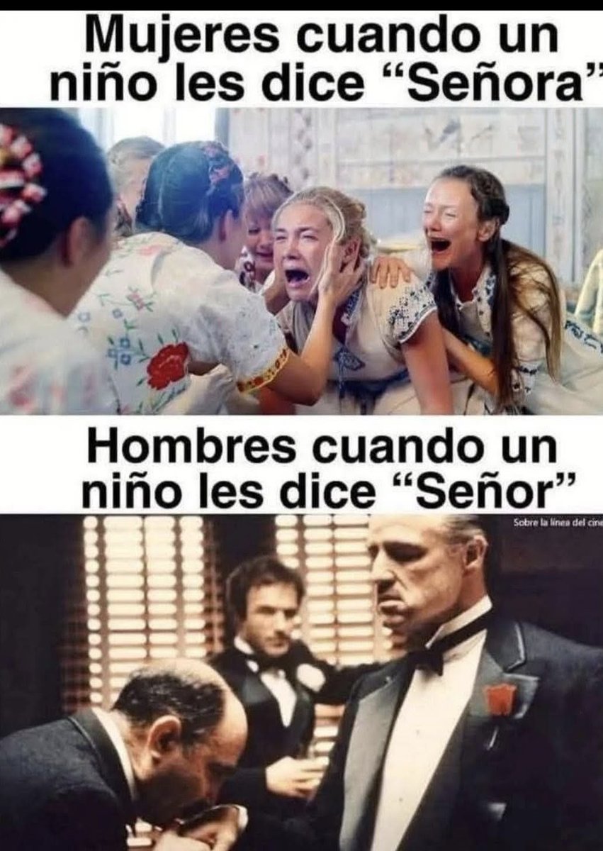 RincnCuriosoo's tweet photo. Dime, hijo.😎 https://t.co/7M8jB373GF