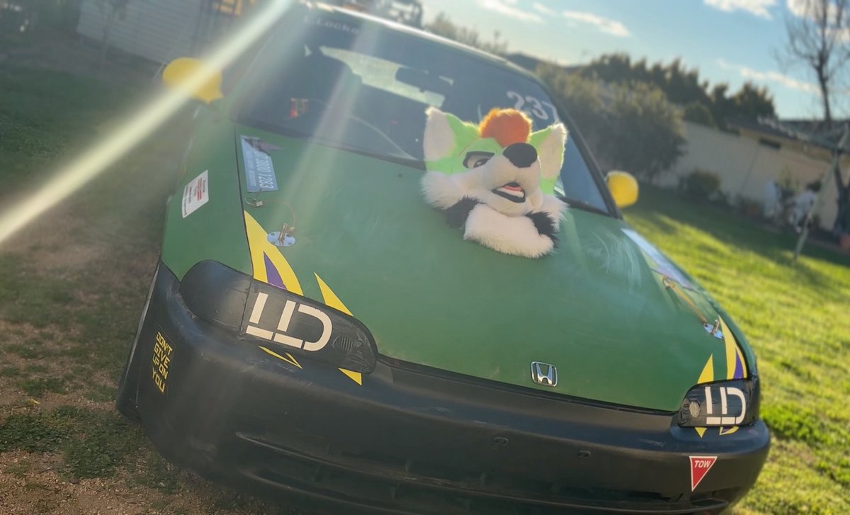 LJ Floof 🇦🇺 🔜 Furdu2026 tweet media