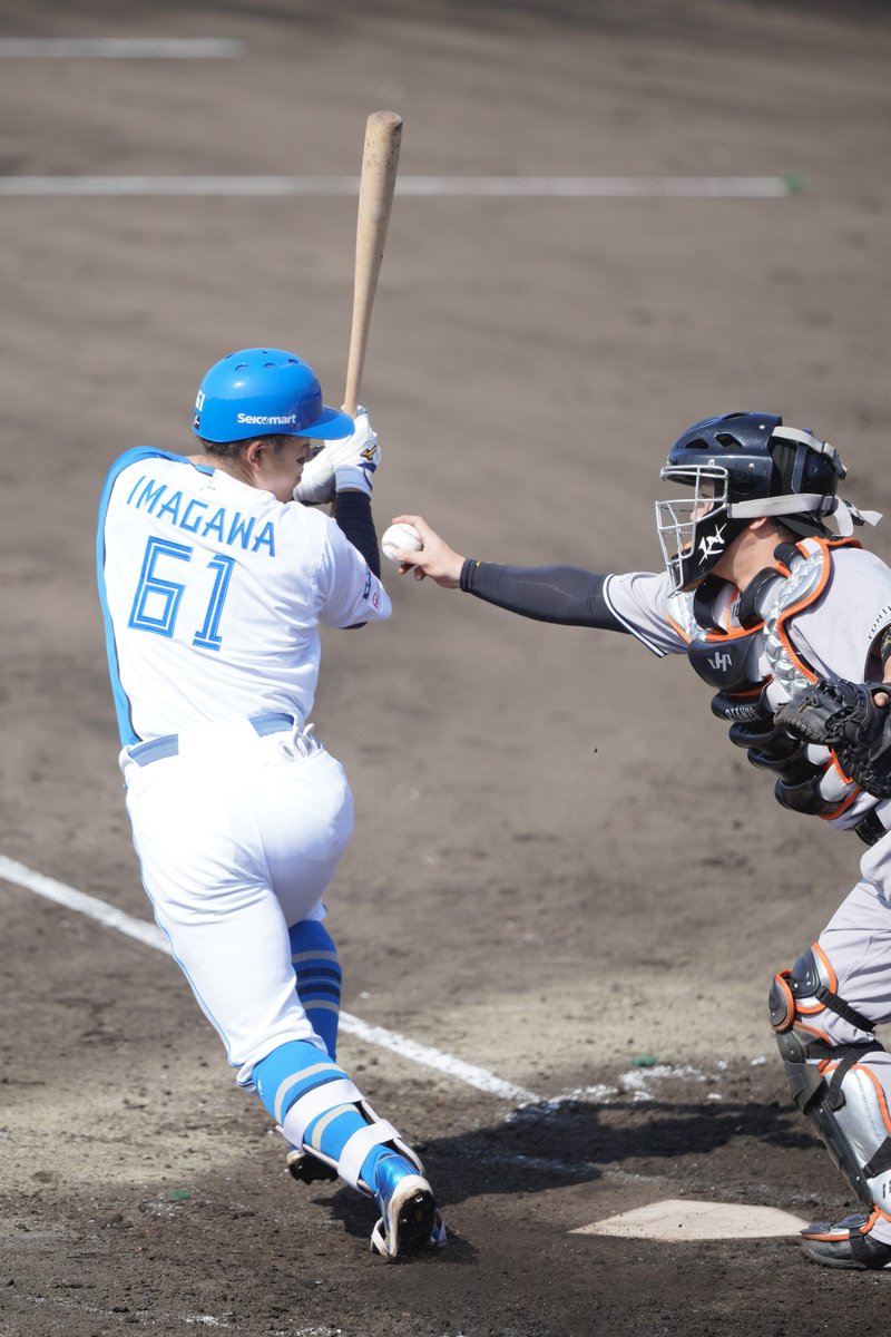 ely_PBS's tweet photo. にげ。

#今川優馬 選手
#lovefighters
📸2026/3/28 #鎌スタ https://t.co/TTol6tRQRd