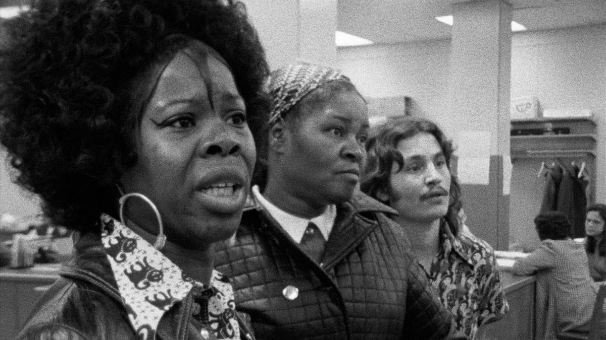 Chadd Harbold tweet media