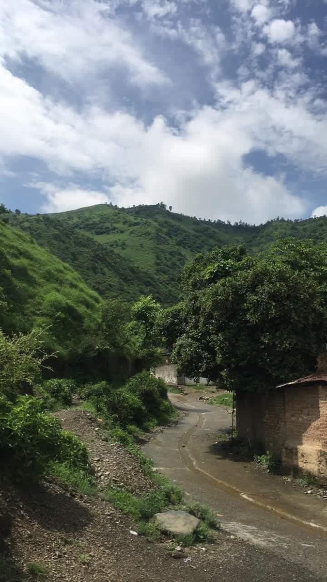 خان تنولی tweet media