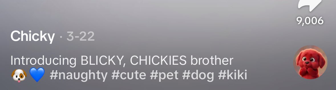 Also confirmed his brother of $chicky named $blicky this will moon 

8UN7zAnoATsnn1jYwSNfSmJqERPyrJcijcBQjjL7pump
