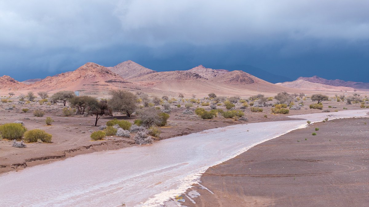 احمد محمد الحويطي tweet media