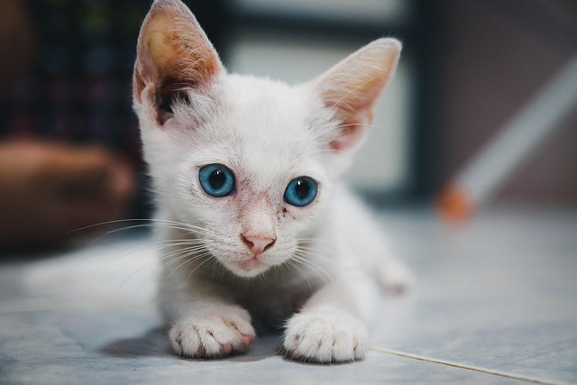 Ryan Strand tweet media