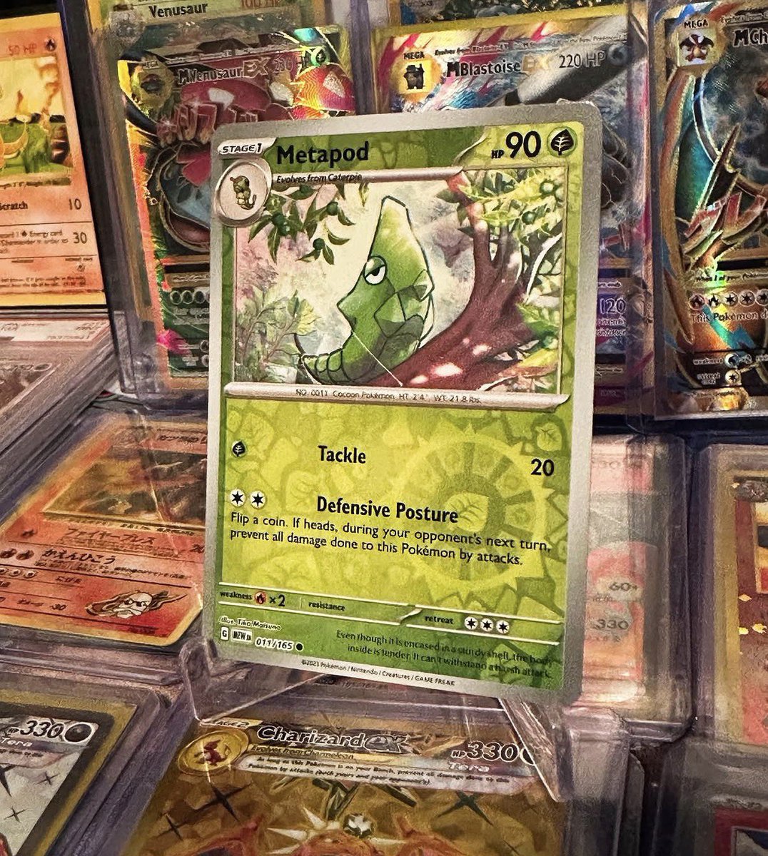 Lord Charizard tweet media