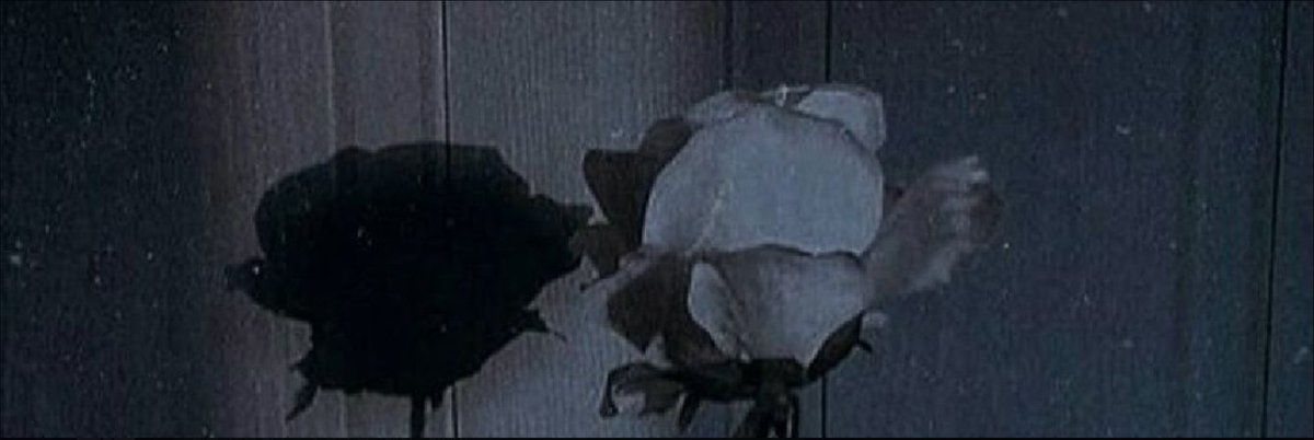 はるか(전닉:히루) tweet media