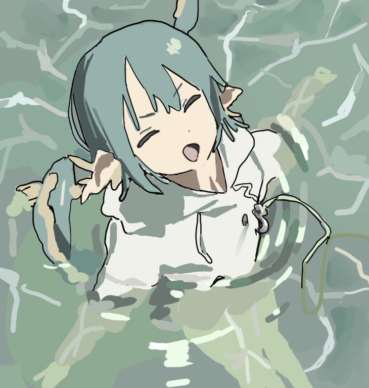 アザラシ tweet media