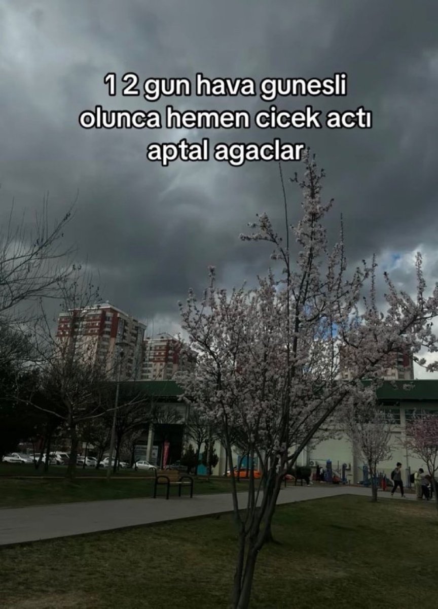 Alnı Öpülesi Tivitler tweet media