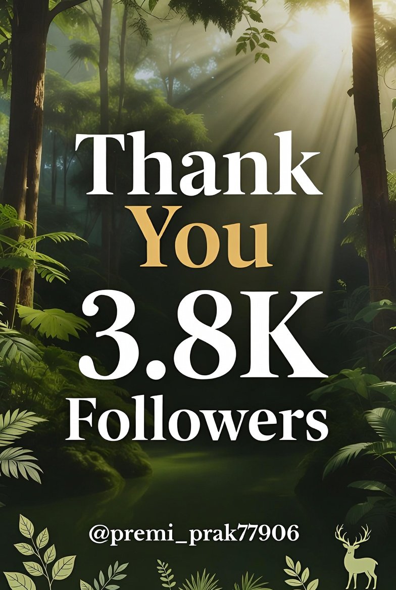 प्रकृति प्रेमी 🌳🦌💦 tweet media